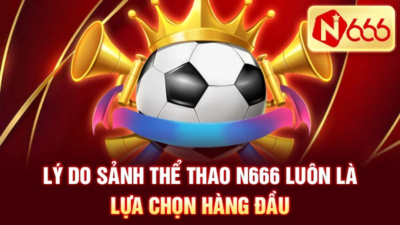 Lý Do Sảnh Thể Thao N666 Luôn Là Lựa Chọn Hàng Đầu