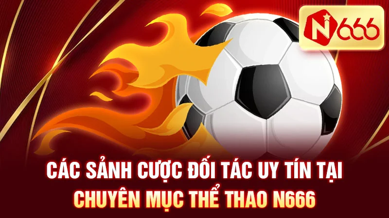 Các sảnh cược đối tác uy tín tại chuyên mục Thể thao N666.