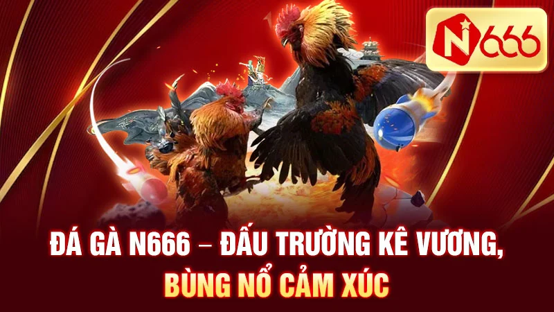 Đá Gà N666 - Đấu Trường Kê Vương, Bùng Nổ Cảm Xúc